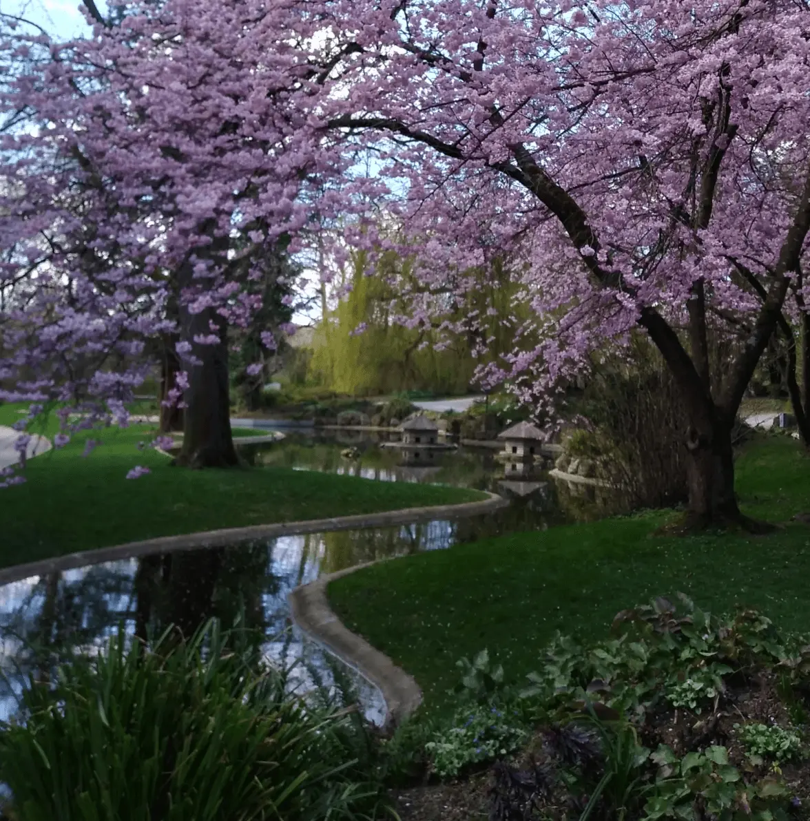 Le parc de l'anneau cover