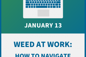 Weed at Work: How to Navigate Marijuana Laws in Your Workplace