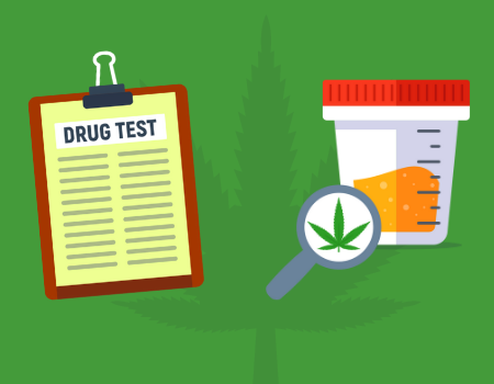 testing employees for marijuana-450x350px-1