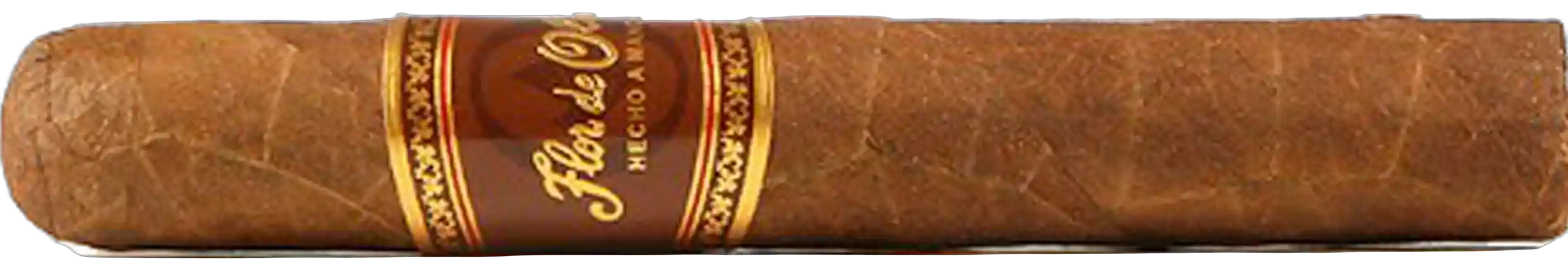 Flor de Oliva Robusto
