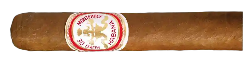 Hoyo De Monterrey Churchill