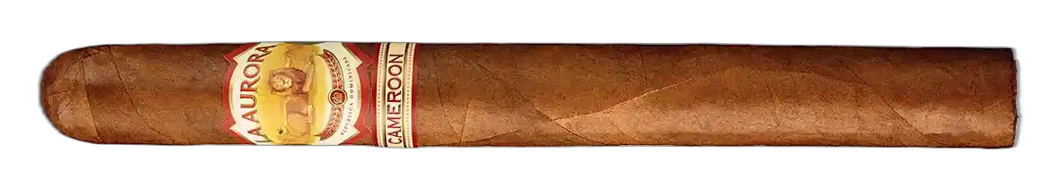 La Aurora 1903 Cameroon Churchill