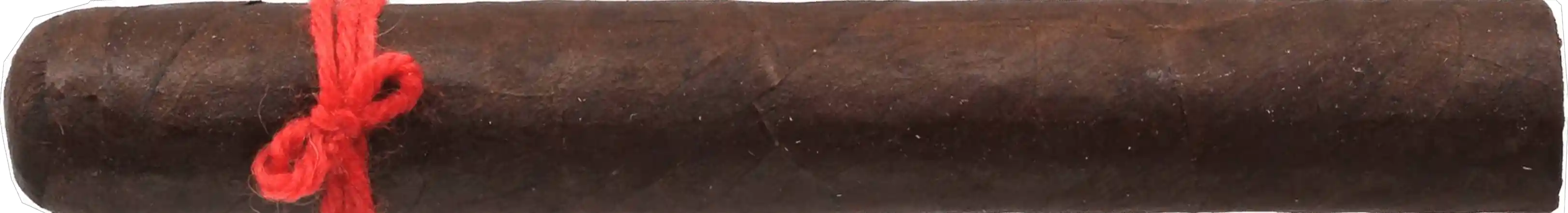 Nicarao Furia Tisiphone Gran Toro