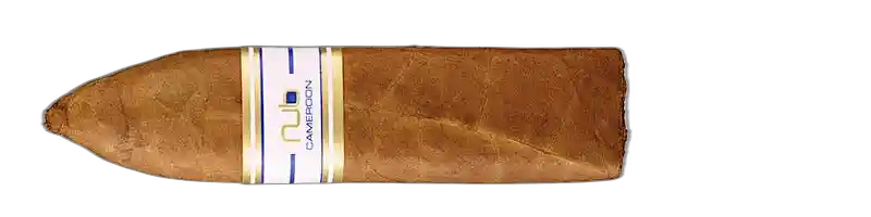 NUB Cameroon 466 BPT