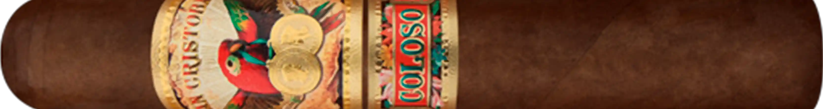 Paradiso Coloso