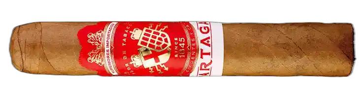 Partagas Non-Cuban Partagas Cortado Robusto