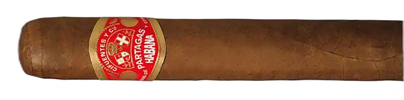 Partagas Shorts
