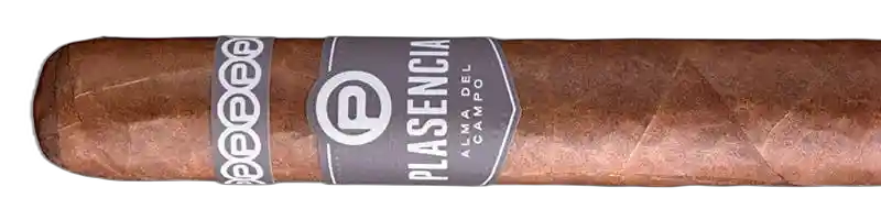 PlasenCia Alma del Campo Madrono