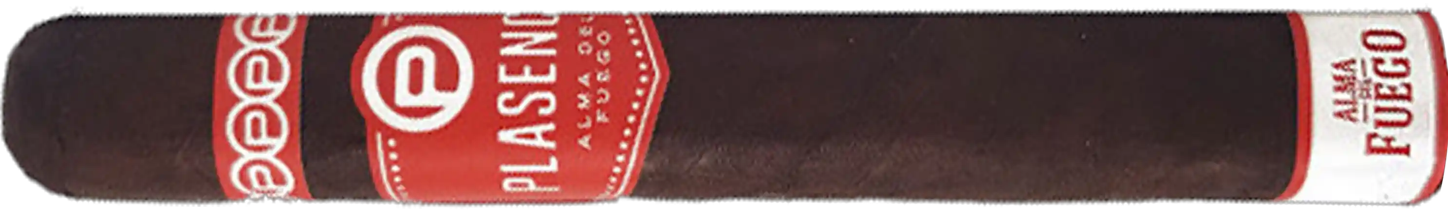 PlasenCia Alma del Fuego Concepcion Toro