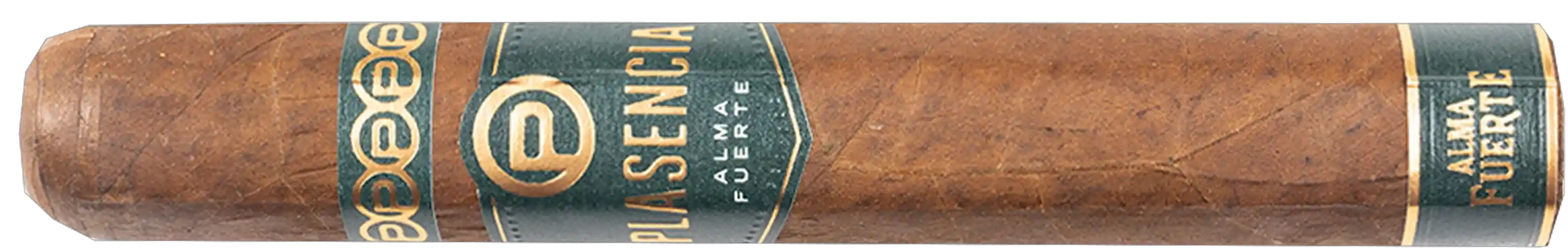 PlasenCia Alma Fuerte Sixto I Hexagono Claro