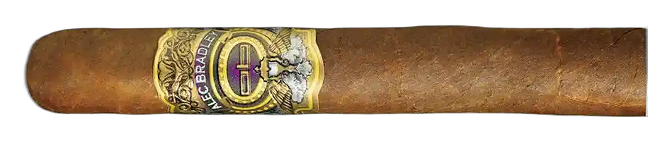 Tempus by Alec Bradley Tempus Inception