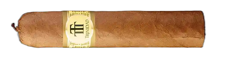 Trinidad Vigia
