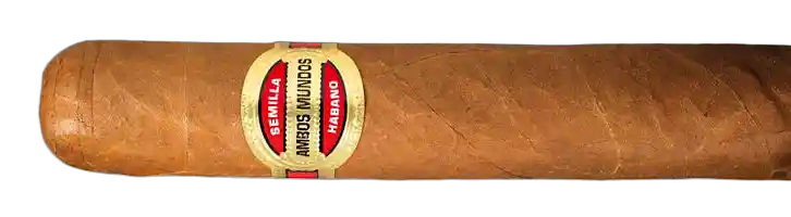 Ambos Mundos No. 1 Grande