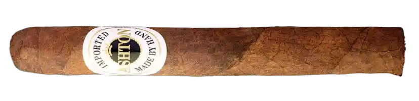 Ashton Aged Maduro No. 20