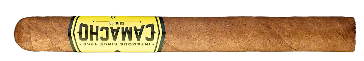 Camacho Criollo Churchill