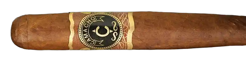 Camacho Diploma 07/05