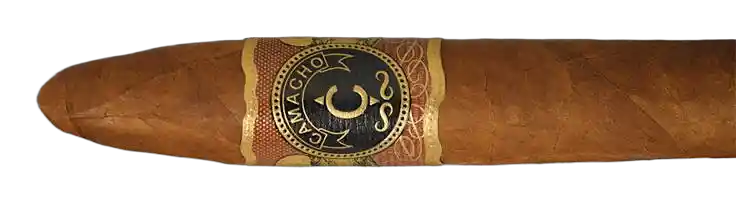 Camacho Diploma Scorpion