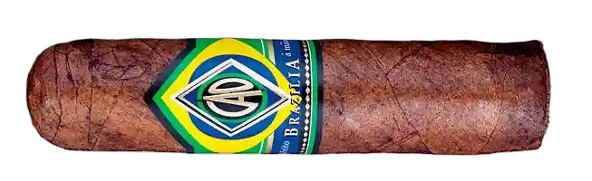 CAO Brazilia Corcovado