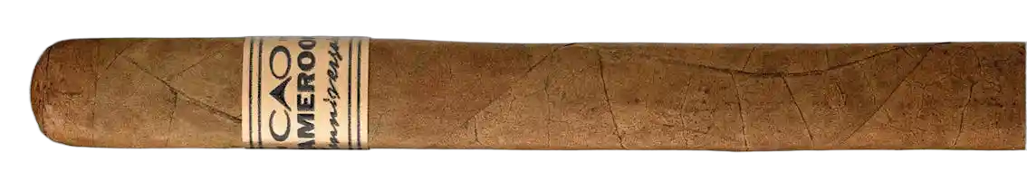 CAO Cameroon Churchill