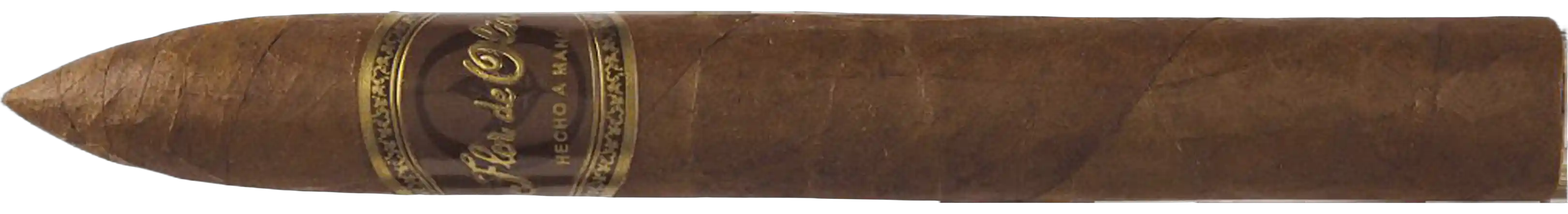 Flor de Oliva Torpedo