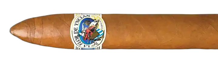 La Flor de Ynclan Torpedo