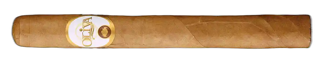 Oliva Connecticut Reserve Churchill