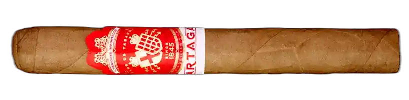 Partagas Non-Cuban Partagas Cortado Corona