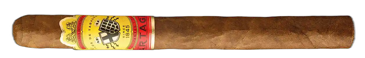 Partagas Non-Cuban Partagas No. 10