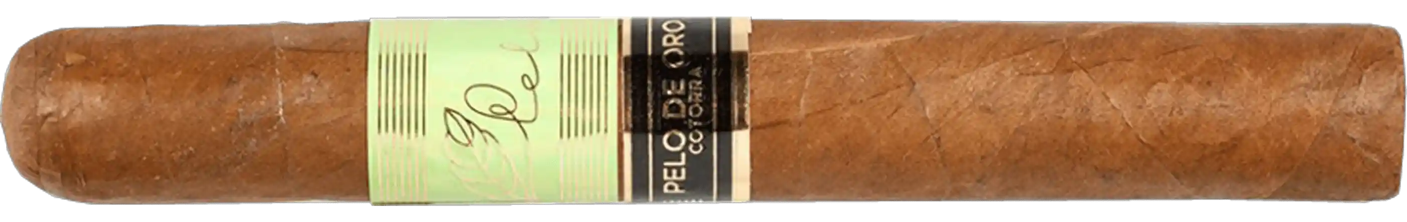 Pelo de Oro Cotorra Verde