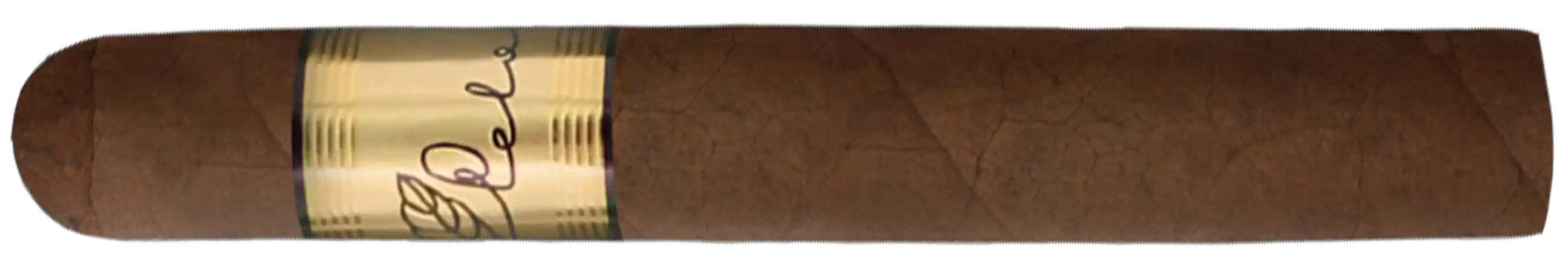 Pelo de Oro Mariposa