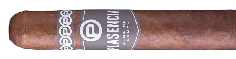 PlasenCia Alma del Campo Guajiro