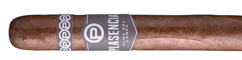 PlasenCia Alma del Campo Travesia