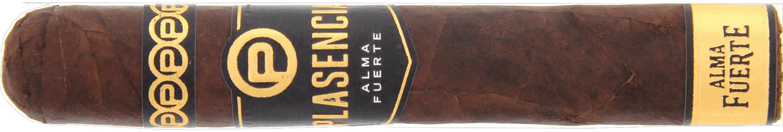 PlasenCia Alma Fuerte Robustus