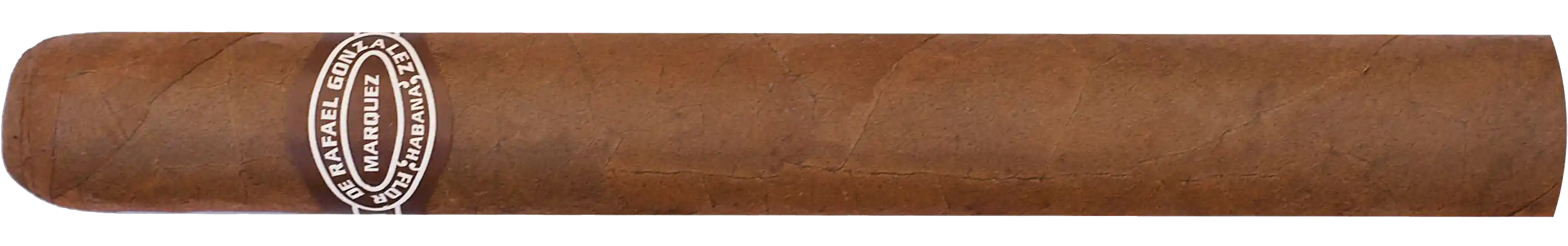 Rafael Gonzalez Corona Extra