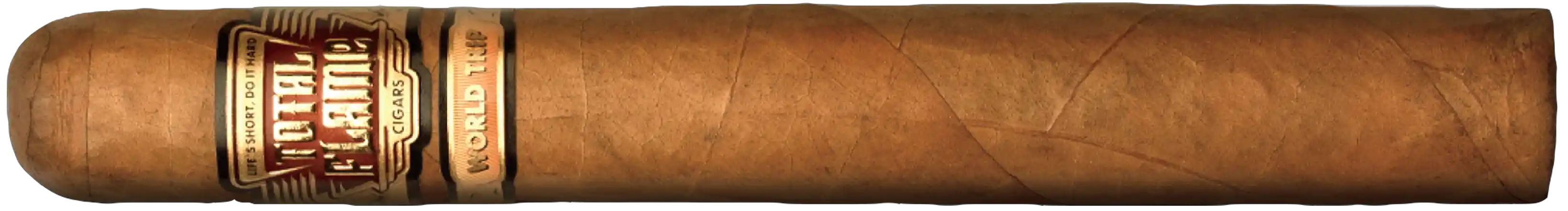 Total Flame Bright Line World Trip