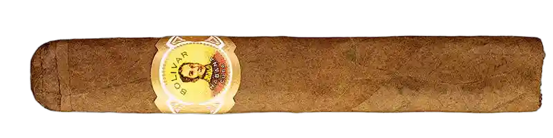 Bolivar Coronas Junior