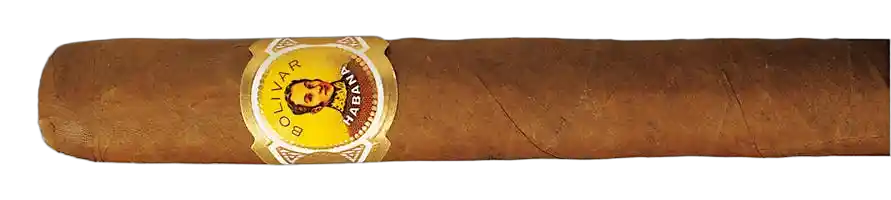 Bolivar Petit Coronas