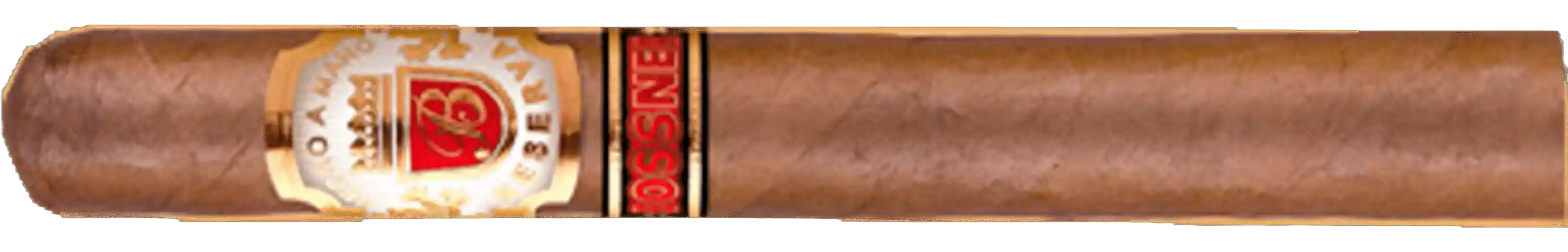 Bossner Ekaterina I Claro