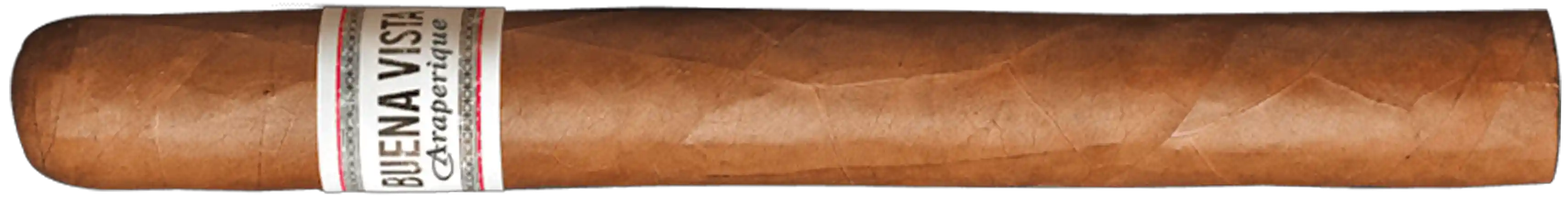 Buena Vista Araperique Churchill