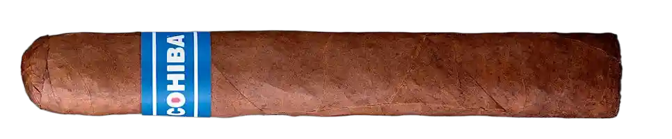 Cohiba Non-Cuban Cohiba Blue Robusto