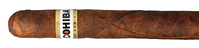 Cohiba Non-Cuban Cohiba Puro Dominicana Robusto