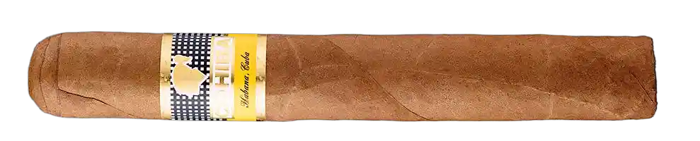 Cohiba Siglo VI