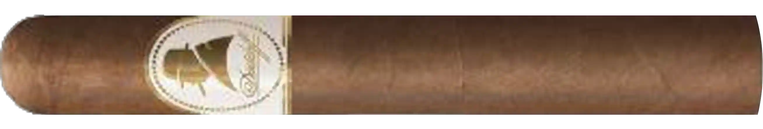 Davidoff Winston Churchill Robusto