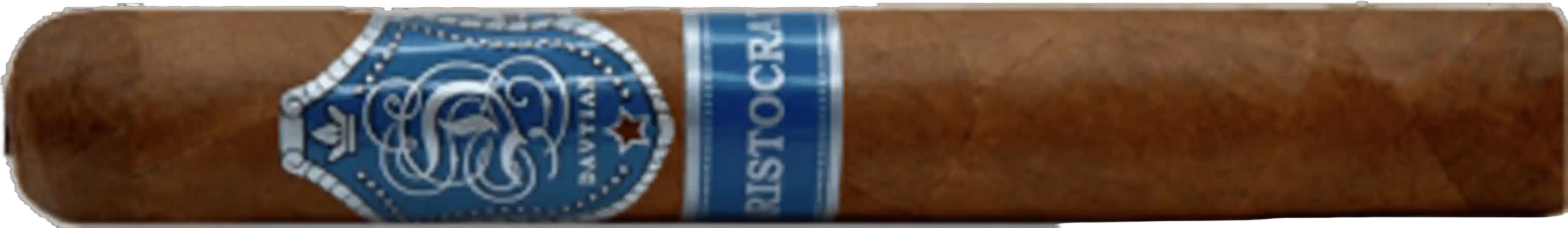 Davtian Aristocrat Toro