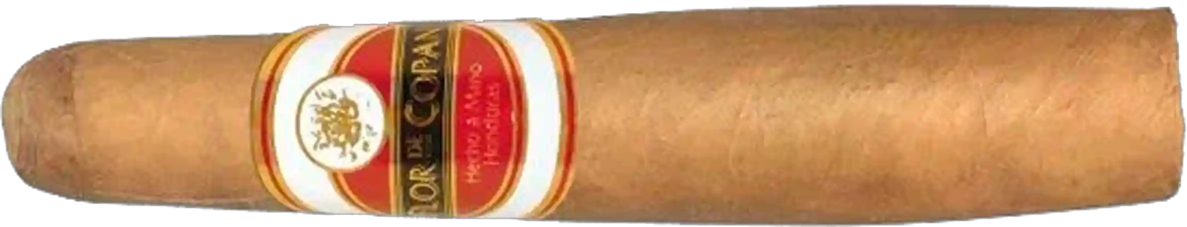 Flor de Copan Gordito