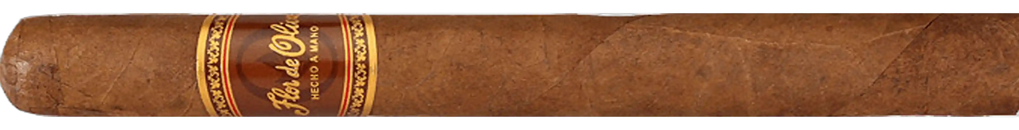 Flor de Oliva Churchill