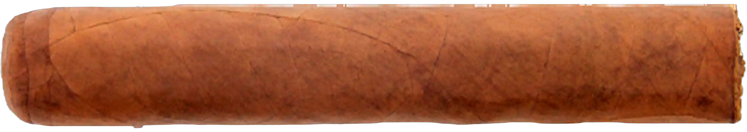 Flor de Sol Flor del Sol Robusto