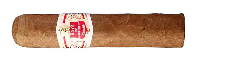 Hoyo De Monterrey Petit Robustos