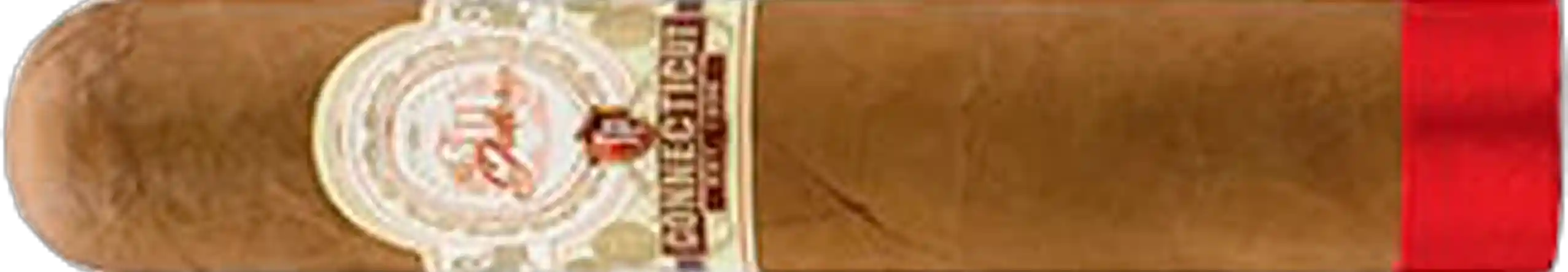 La Galera Connecticut Pilon Short Gordo