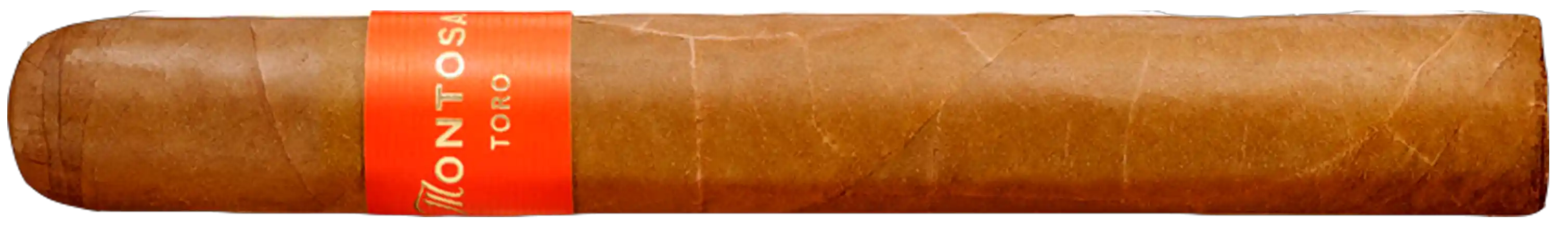 Montosa Toro